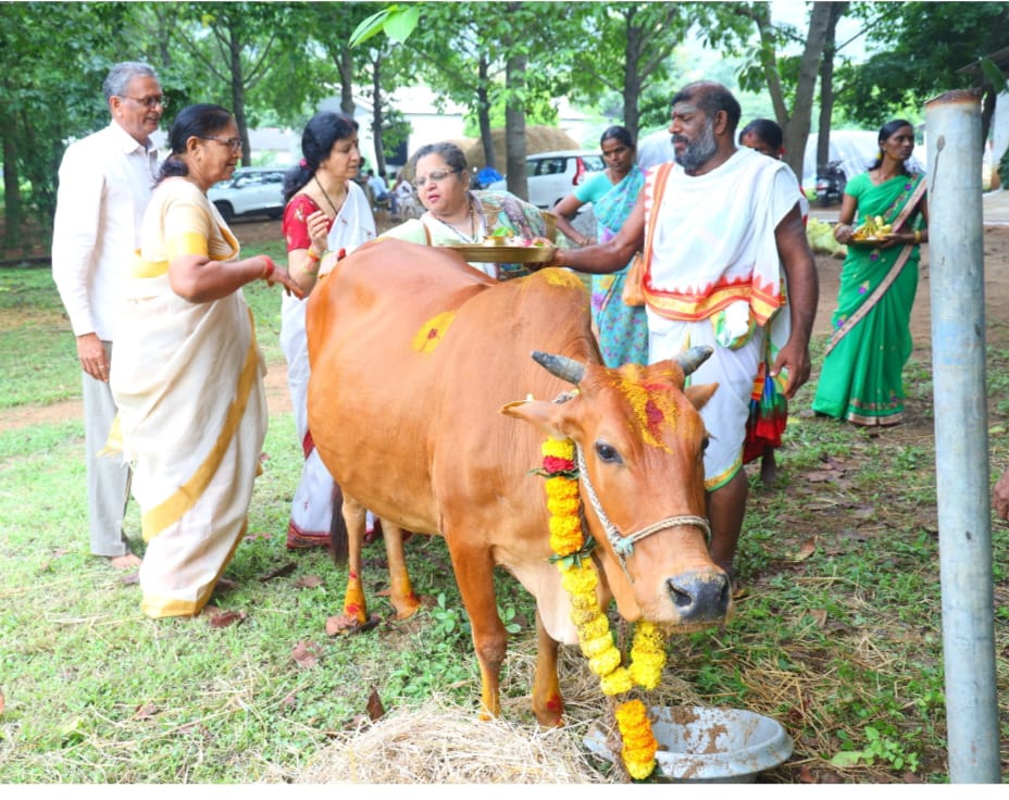 భోగి పండుగ, సంక్రాంతి పండుగలో మొదటి రోజు