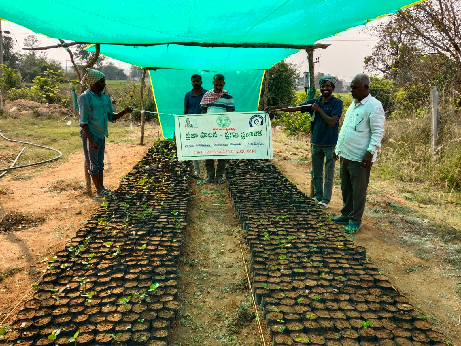 పచ్చని గ్రామం లక్ష్యంగా దీపాయంపల్లి గ్రామంలో నర్సరీ ఏర్పాటు – సర్పంచ్ దుర్గేష్